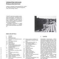 RT 85-10738, Vesikaton korjaus. Korjausrakentaminen