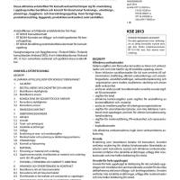 RT 13-11143 sv, Allmänna avtalsvillkor för konsultverksamhet KSE 2013