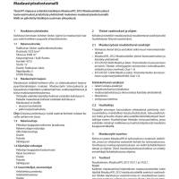 RT 29-11053, Rakennusmaalaus. Maalaustyöselostusmalli